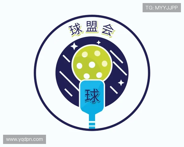 解读qm球盟会